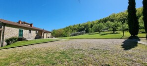 A stone house with a green door, a gravel driveway, and a grassy hill with trees. - Casa Fantone. Villa with private pool and large fenced park for absolute privacy (Poppi)