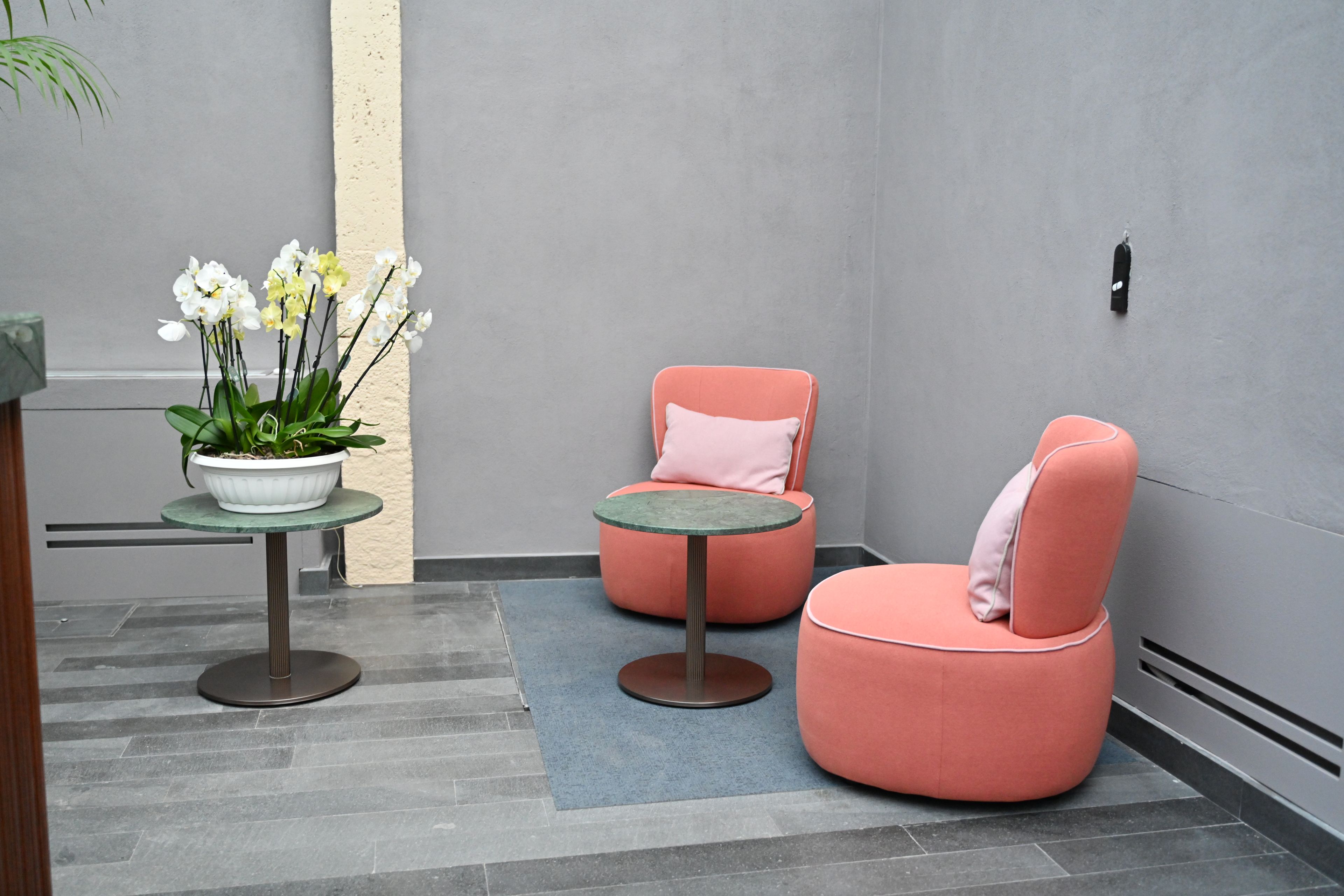 Un interior moderno con dos sillas rosas, una mesita y una planta en maceta con flores blancas.