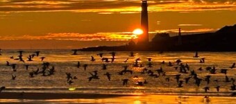 Harbour Lights Retreat