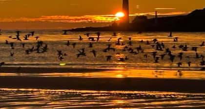 Harbour Lights Retreat