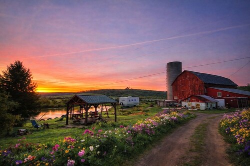 Wildflower Wagon Farm Stay