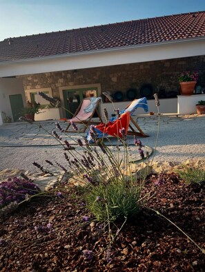 Jardines del alojamiento