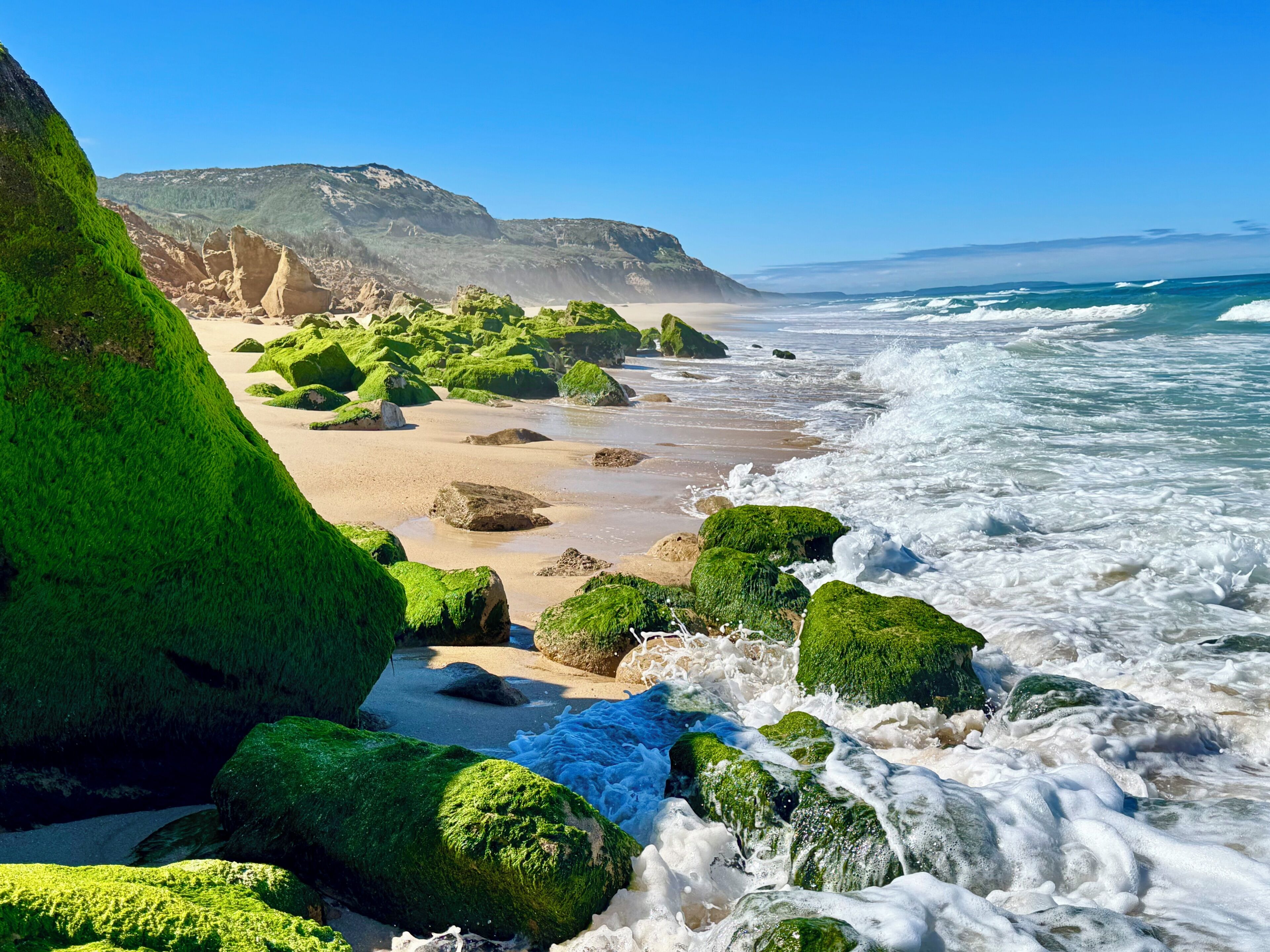 A beach with green moss-covered rocks and waves crashing onto the shore.
