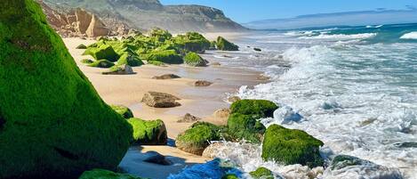 A beach with green moss-covered rocks and waves crashing onto the shore.