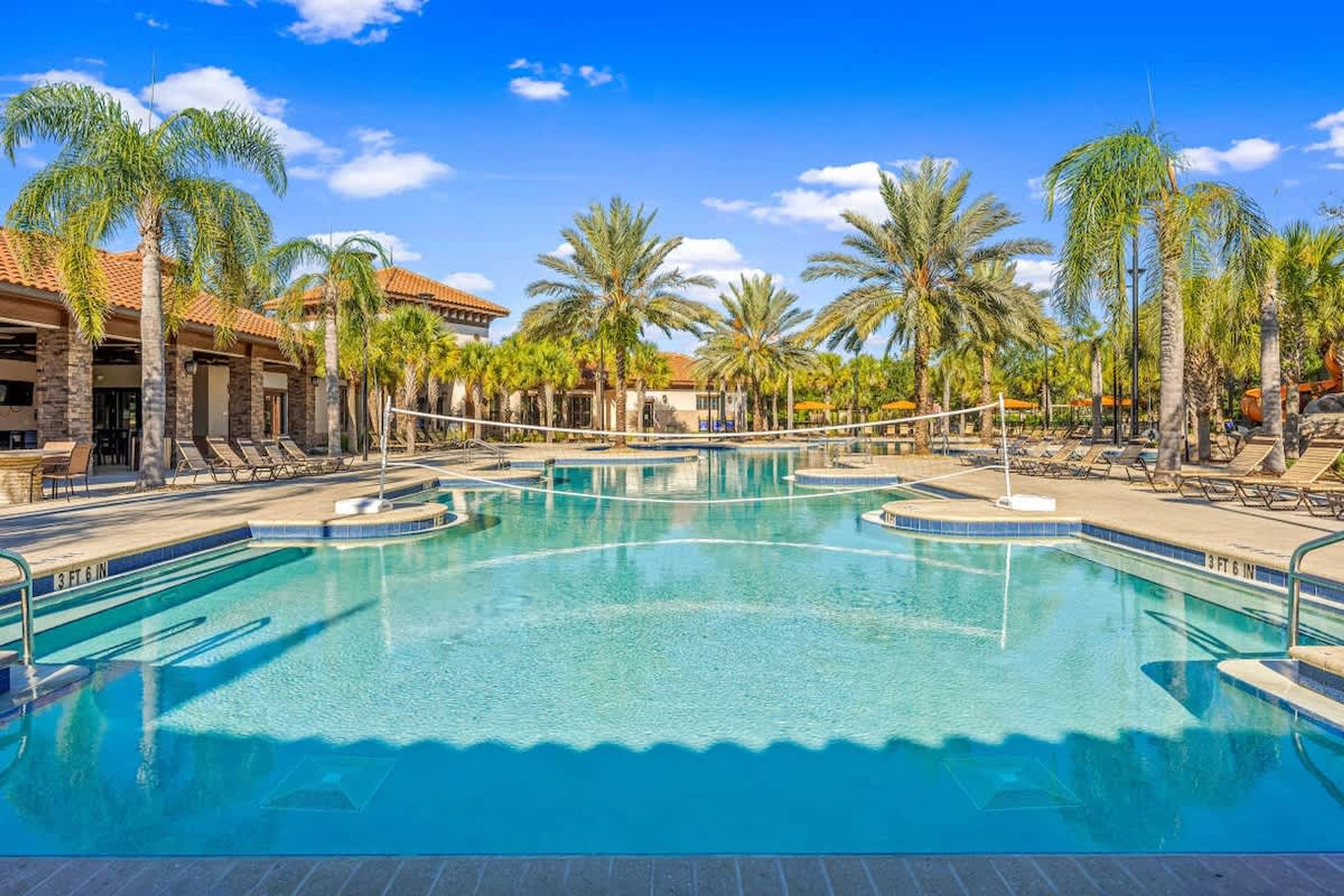 A swimming pool with lounge chairs and palm trees.