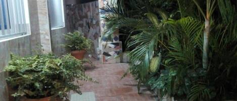 Un pasillo con plantas en macetas, una pared de piedra y un suelo de baldosas.