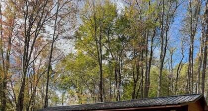 Cozy Forest Cabin Near Allegheny Reservoir; Fire Pit, Porch, Pet Friendly