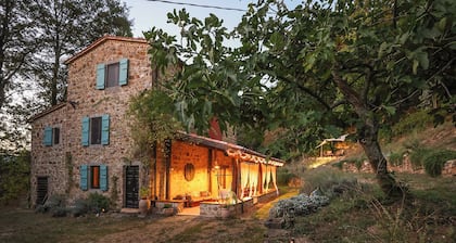 Charming Villa in the peaceful green heart of Tuscany.