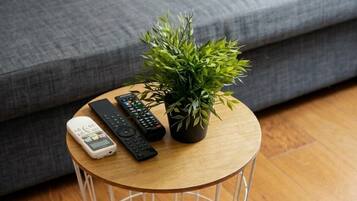 TV