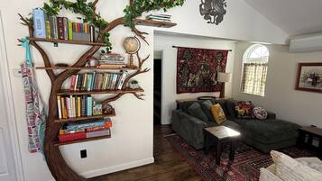 TV connectée, cheminée, livres