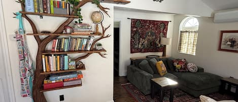 Smart TV, fireplace, books