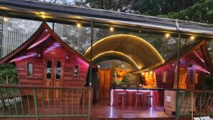 A rustic wooden cabin with a bar area and a mural on the back wall. - Dragon Majick (Pavones)