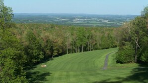 Ein Golfplatz mit freier Bahn, umgeben von dichten Bäumen und weiter Landschaftssicht.