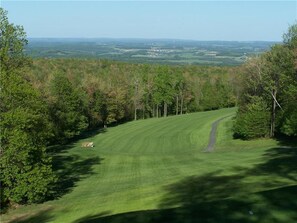 Golf - The Great Escape (Hidden Valley)