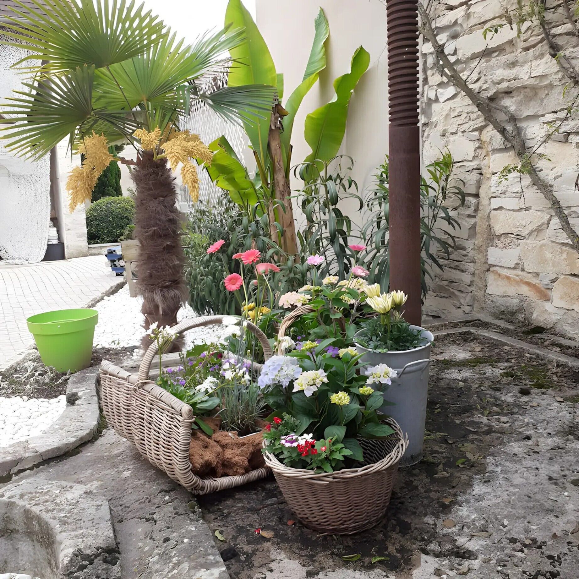 Áreas de la propiedad