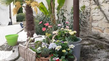 Área da propriedade