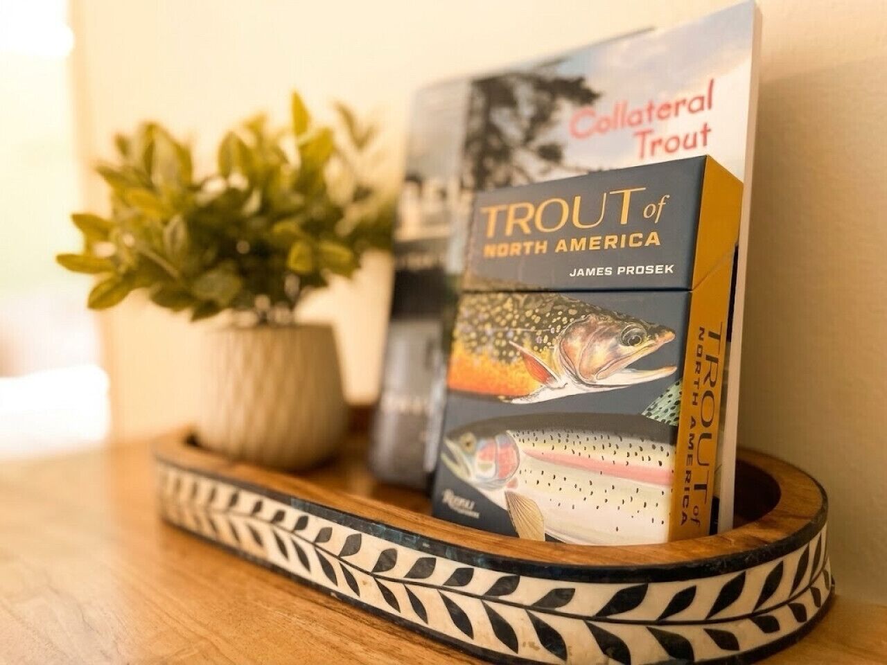 Un libro titulado 'Trout of North America' de James Prosek sobre un atril de madera.