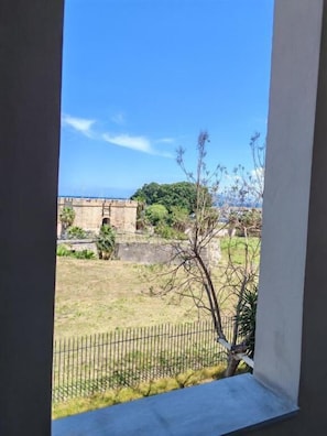A view from a window overlooking a grassy area with a stone wall and a tree. - Mare Suite (Palermo)