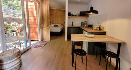 Chucao Cabin