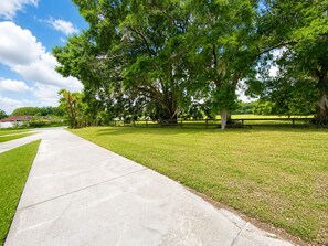 A paved walkway leading through a grassy area with trees and a wooden fence. -  5-Acre Soaring Hawk Retreat | 6Br sleeps 12 | Tampa  (Seffner)
