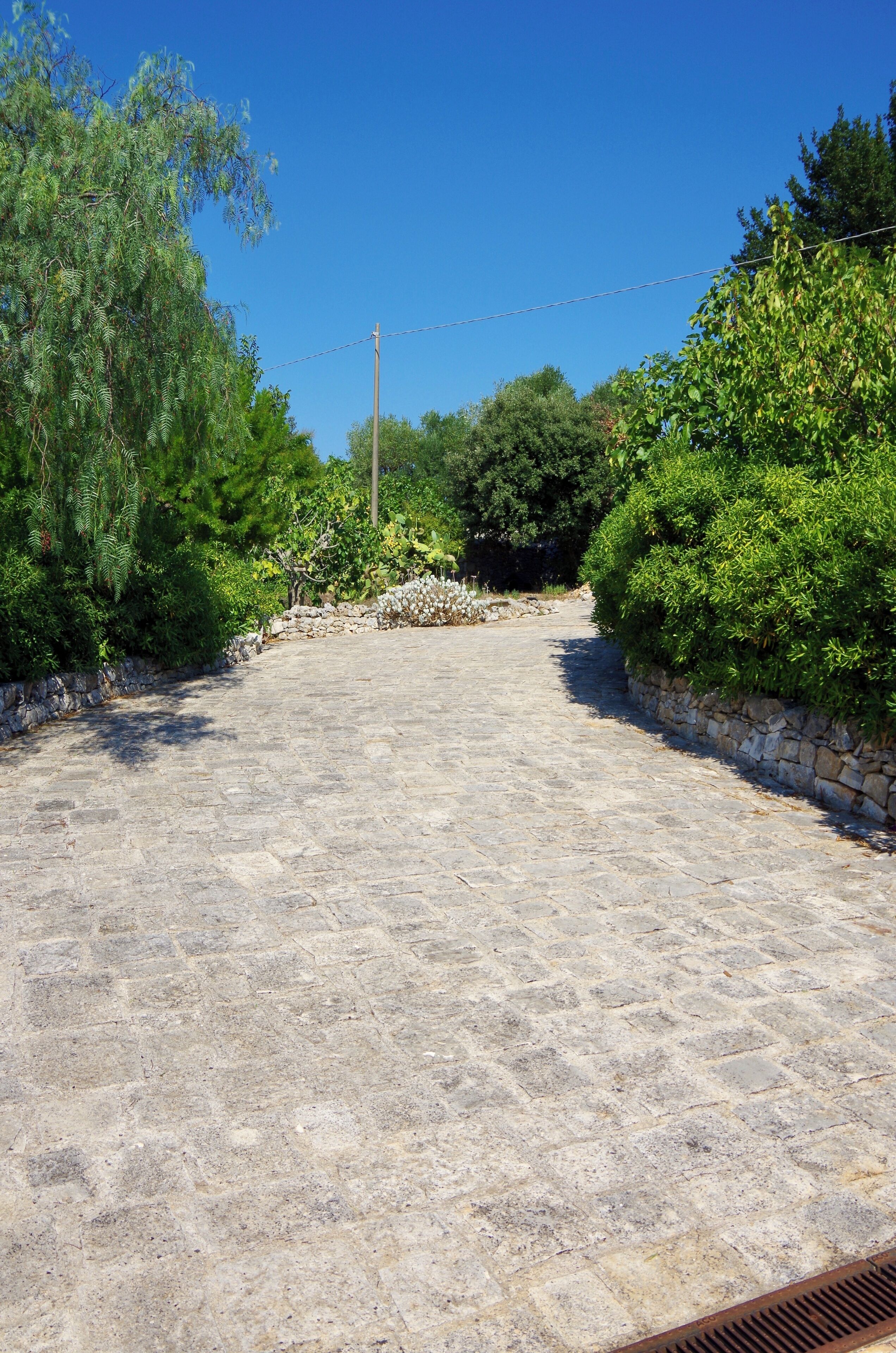 Um pátio pavimentado com paredes de pedra, cercado por vegetação exuberante e árvores.