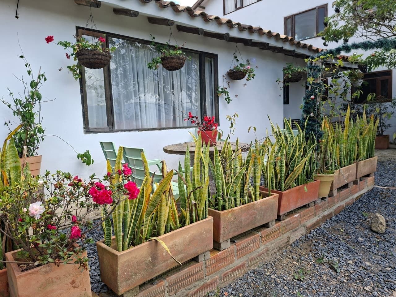 Hus – classic, terrasse, bakgårdsutsikt | Oppholdsområde