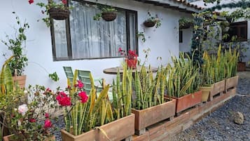 Hus – classic, terrasse, bakgårdsutsikt | Oppholdsområde