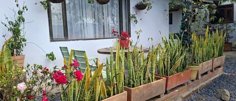 Hus Classic - uteplats - utsikt mot innergÄrden | Vardagsrum