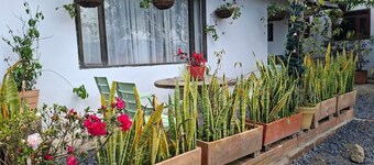 Cabaña Lewana Campestre