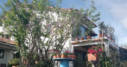 Cabaña Lewana Campestre