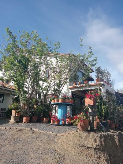 Cabaña Lewana Campestre