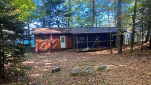 A cabin with a metal roof, surrounded by trees and a forest floor covered with fallen leaves.