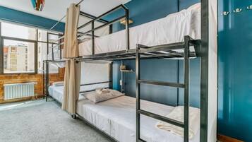 Basic Shared Dormitory, Mixed Dorm, Private Bathroom, City View