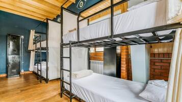 Felles sovesal – basic, for menn og kvinner, privat bad, byutsikt