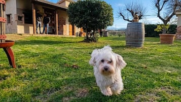 Enceinte de lâhĂ©bergement