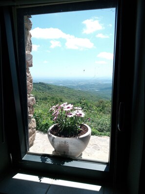 A window with a view of a mountainous landscape and a potted plant with flowers. - La Ferme du Maquis (Antisanti)