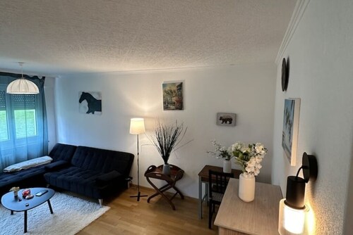 Cozy Furnished Room in Baden with Easy Transport Access