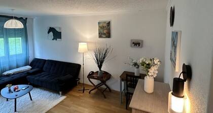 Cozy Furnished Room in Baden with Easy Transport Access