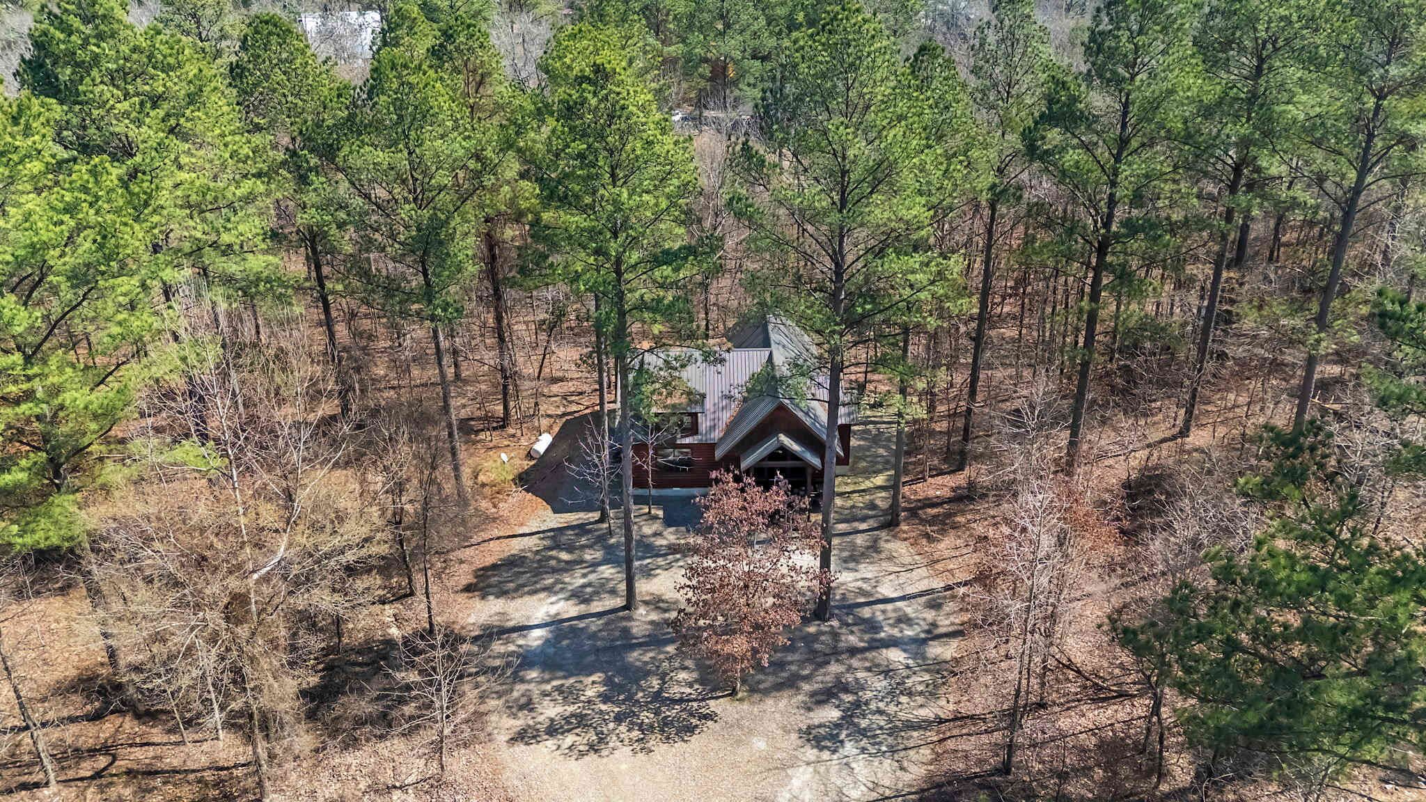 Eine Hütte, umgeben von dichten Kiefern, mit blauem Himmel.