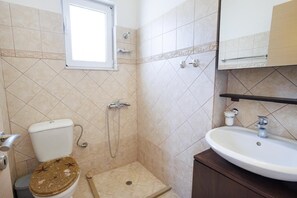 Regadera, secadora de cabello, toallas, jabón 