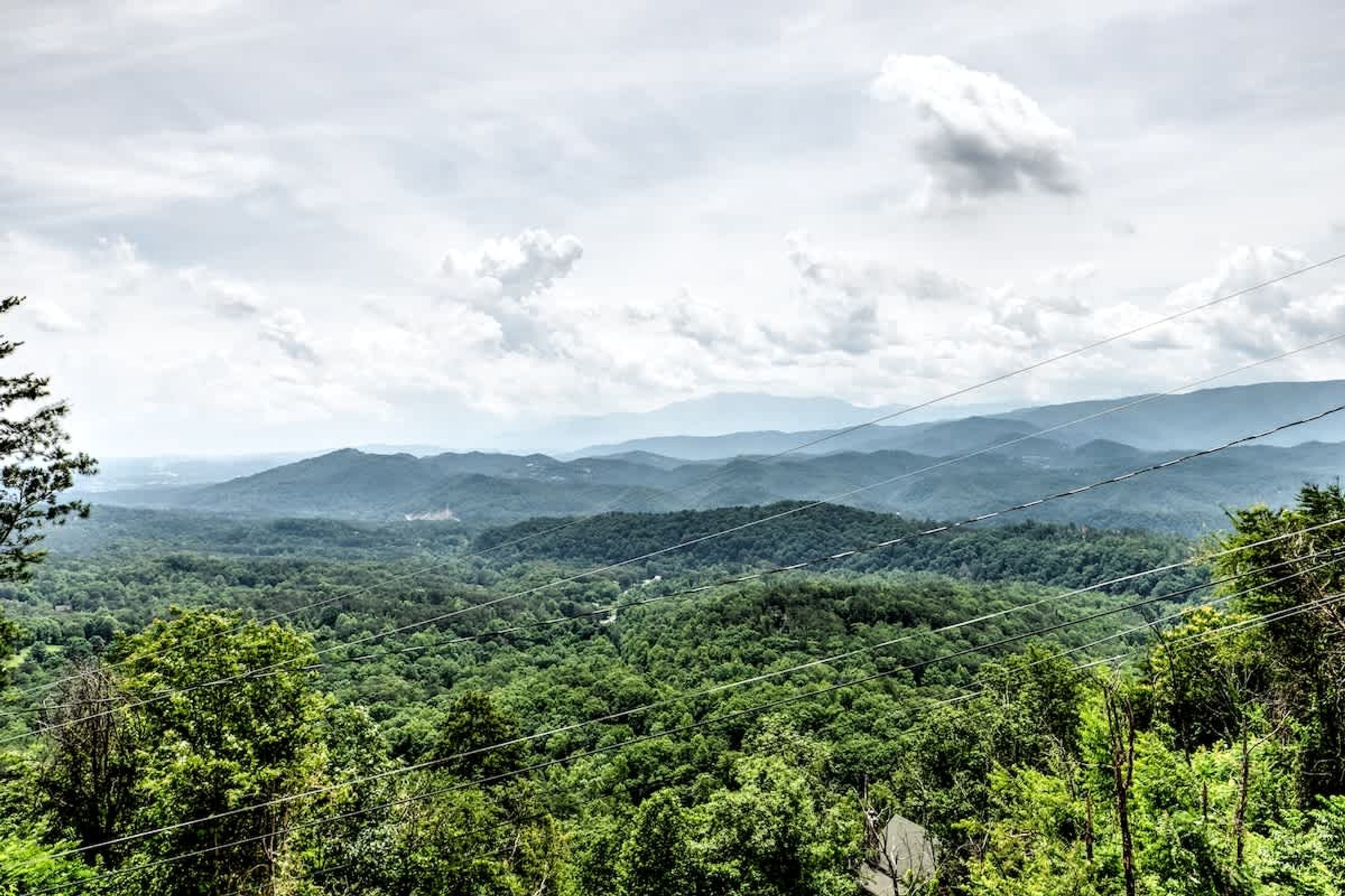 A mountainous landscape with dense forest and power lines.