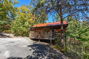 Suite - View Private Studio Cabin Hot Tub Relax Honeymoon (Sevierville)