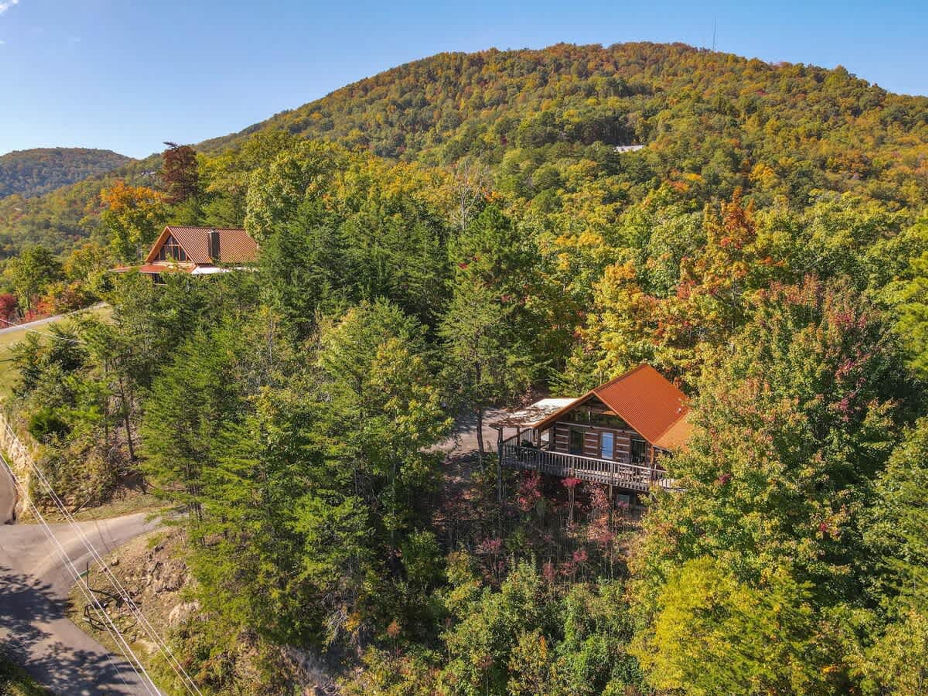 A cabin surrounded by dense forest with a mountain in the background.