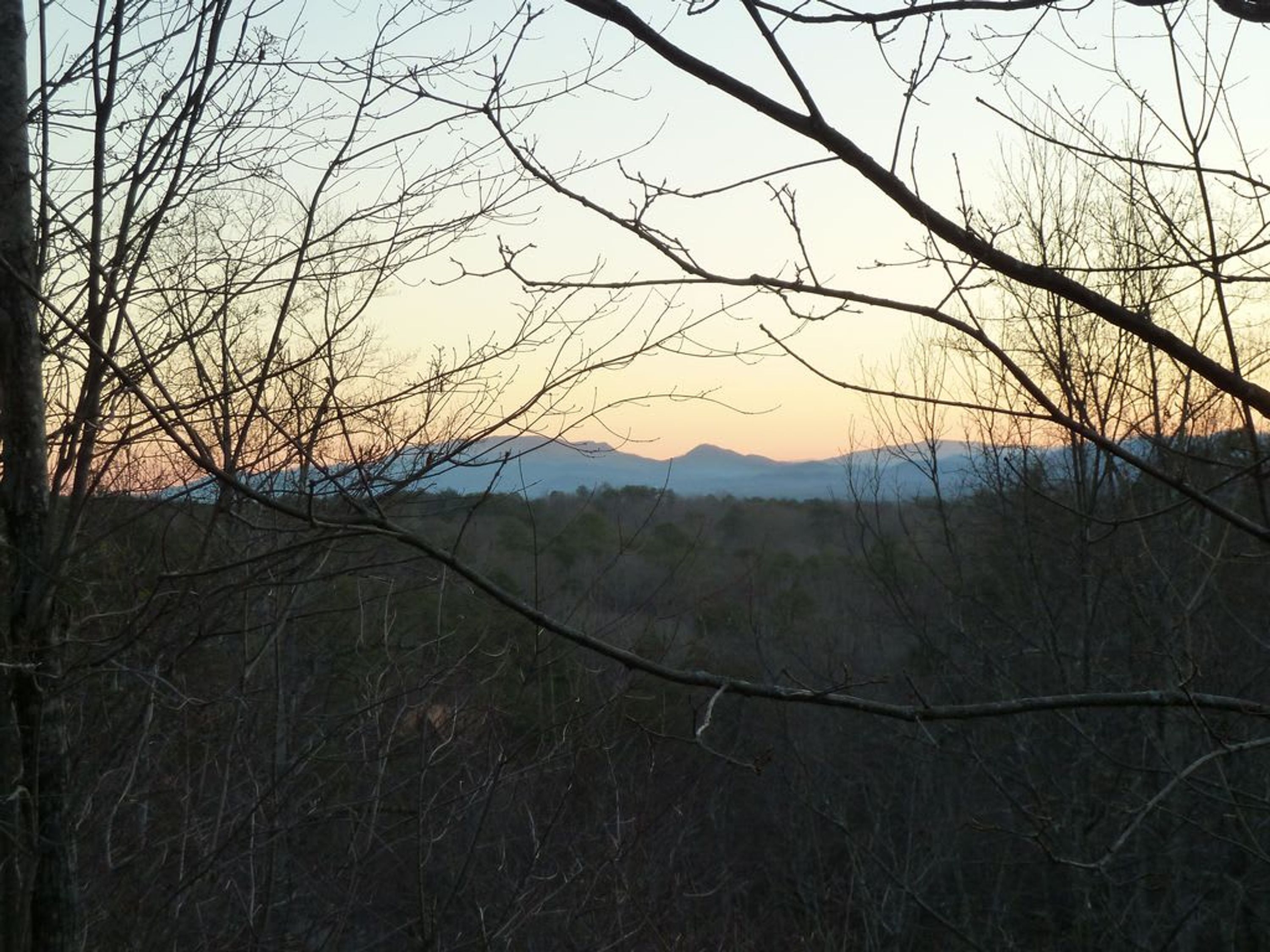 Een natuurlandschap met een uitzicht op bergen in de verte, omlijst door kale takken.
