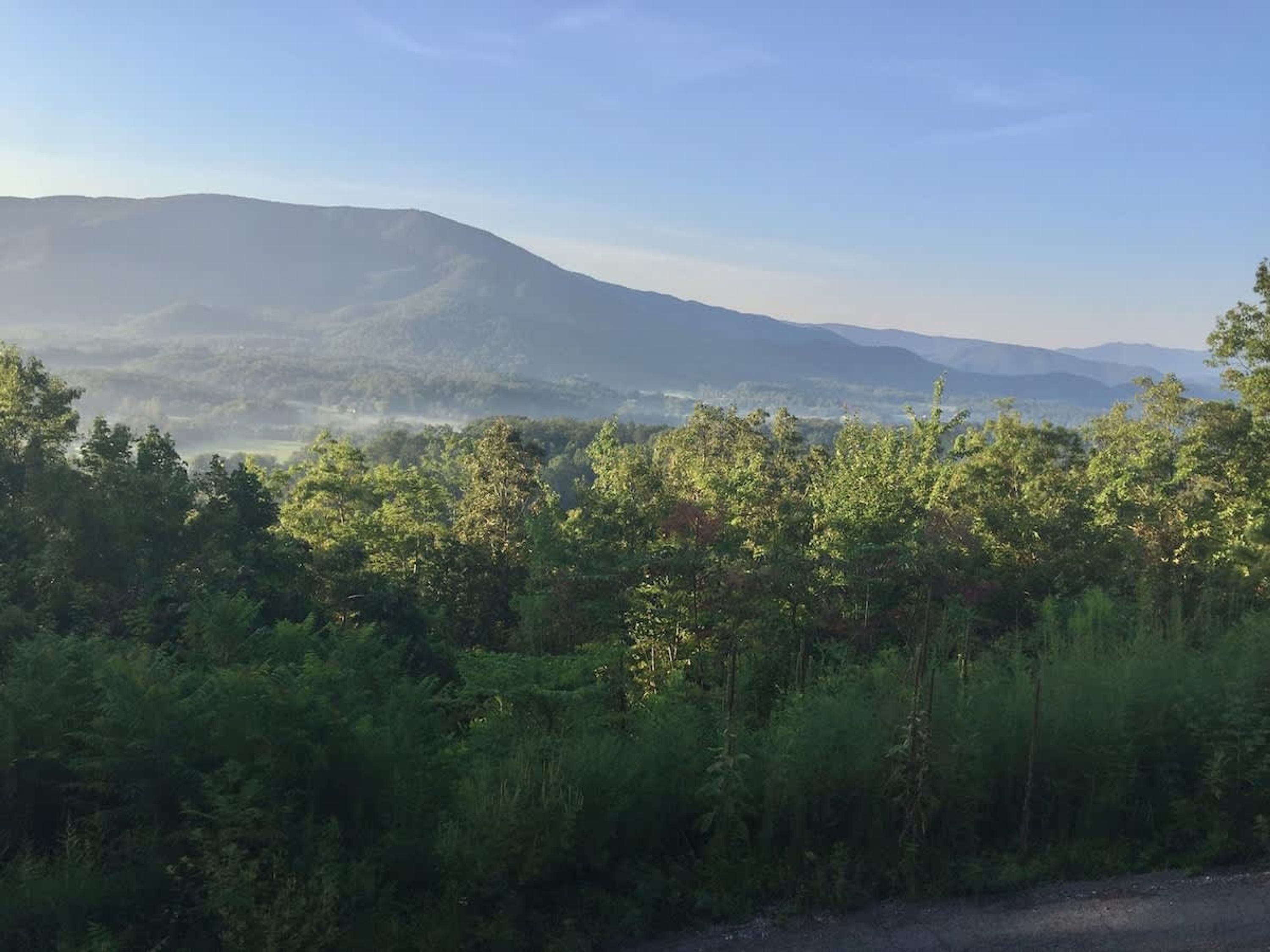 Un paysage naturel avec une montagne en arrière-plan et une végétation luxuriante au premier plan.