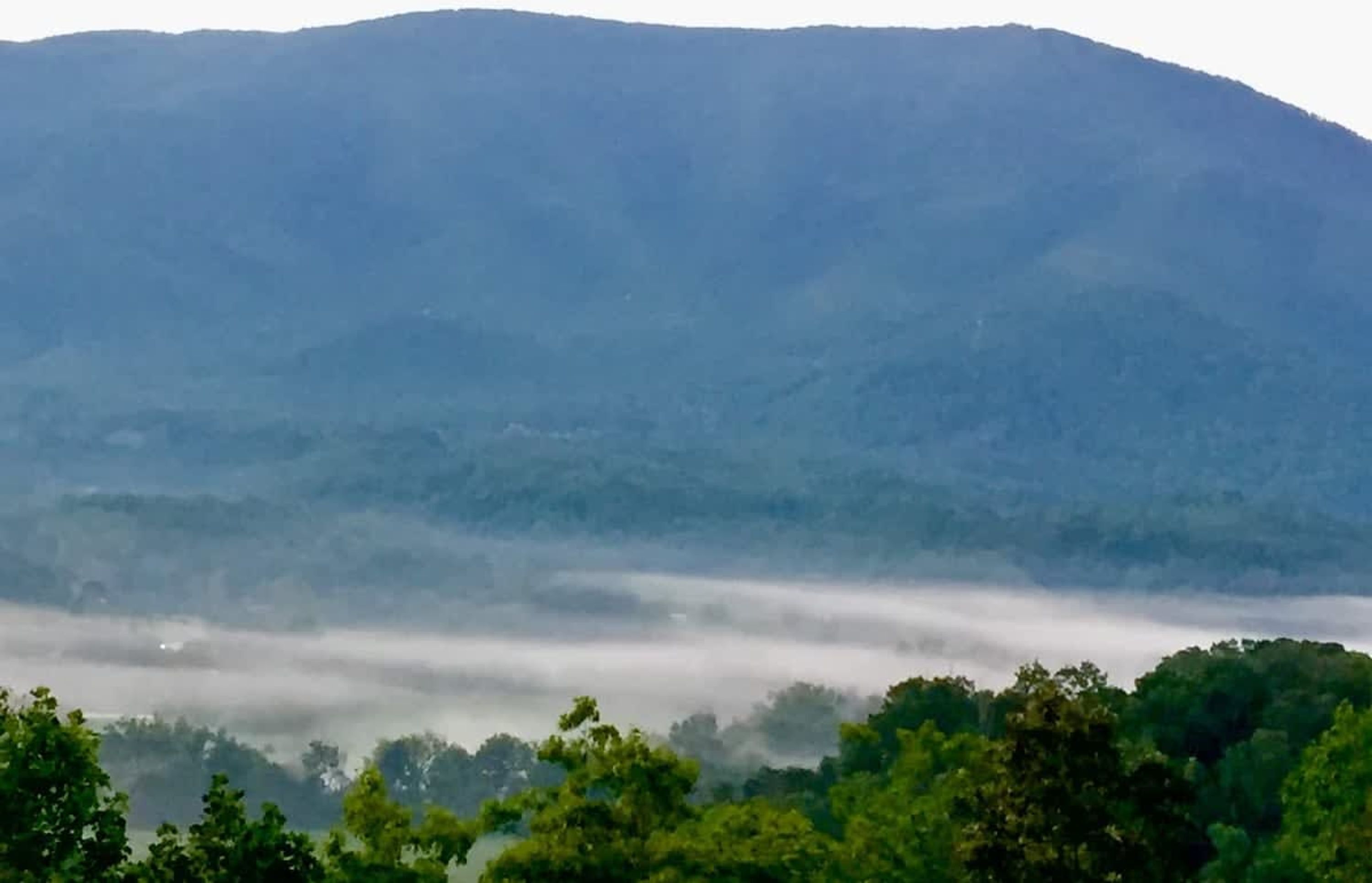 Un paysage de montagne avec une vallée boisée et un premier plan brumeux.