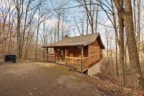 Room - Location-quiet-hottub-fireplace (Sevierville)