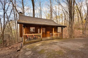 Suite - Location-quiet-hottub-fireplace (Sevierville)