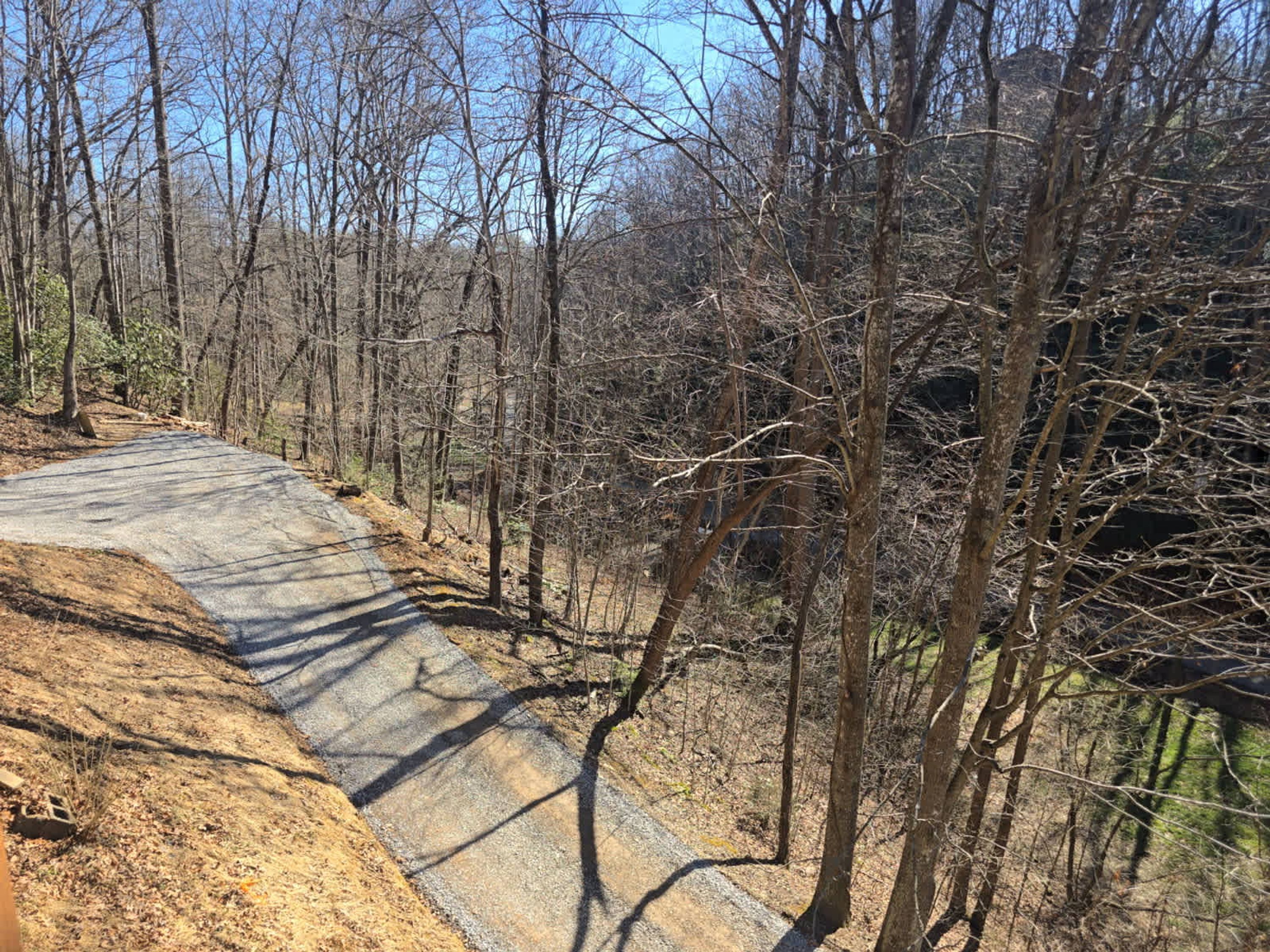 A paved path through a forested area with trees and a dirt slope on one side.