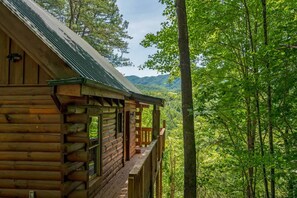 Suite | 2 bedrooms, Internet - Nice View Log Cabin Fireplace Hot Tub Pool Table (Sevierville)